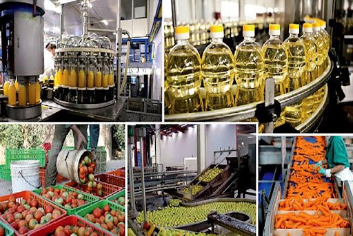 Shelf with dairy products including yogurt, cheese, and packaged milk with attractive branding